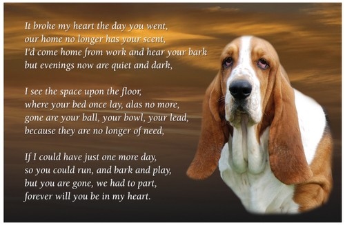 Basset hound dog fridge - fridge, magnet