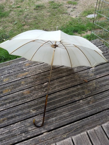 Vintage 1930 delicate - 1930's,