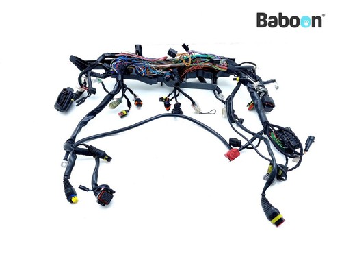 Wiring harness moto - (main),