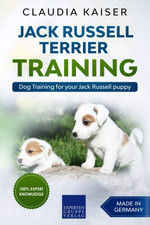Jack russell terrier training - terrier,