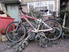 Kona kikapu 9 - 17 inch frame