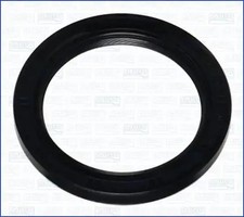 Crankshaft seal o-ring