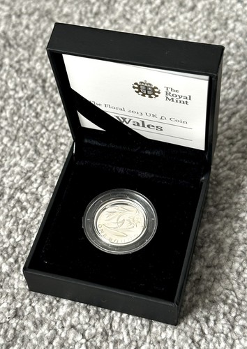 2013 one pound - pound, silver