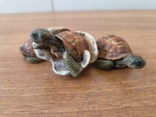 Castagna Tortoise Babies Ornament 
