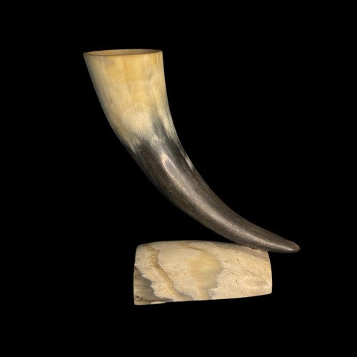 Bull horn mounted ornament - bull,