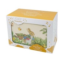 Music Box Baby Gift
