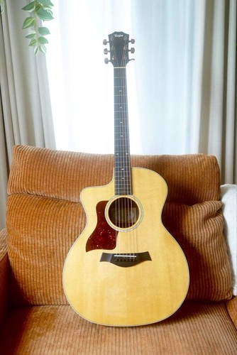 Left handed taylor - left-handed, dlx