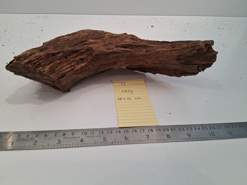 Bogwood driftwood decor - bogwood,