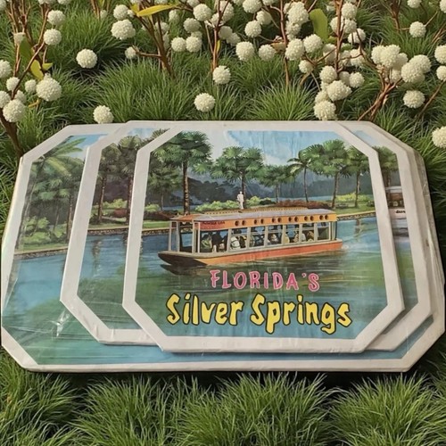 Place mats florida silver - place, florida’s