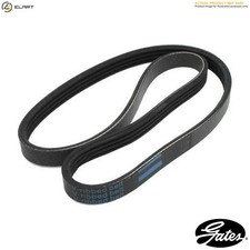 VRIBBED BELT 6PK2033 FOR
