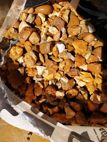 20mm decorative autumn gold - decorative,