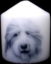 Candle Picture of Sheepdog