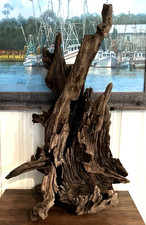 LARGE Natural Driftwood ART
