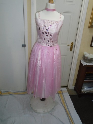 Rose fairy ballet dress - ,