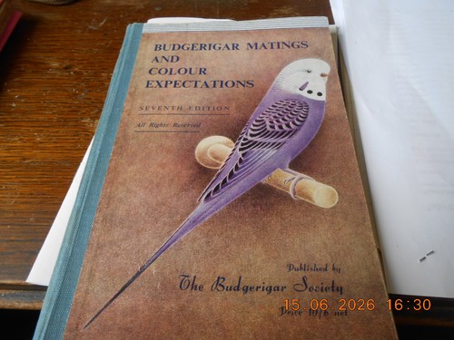Budgerigar matings and - budgerigar,