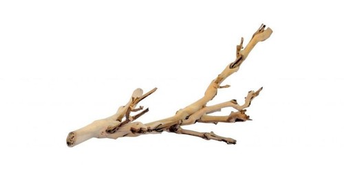 Exo terra forest - forest, branch