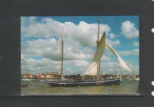 Postcard willow wren built - wren",
