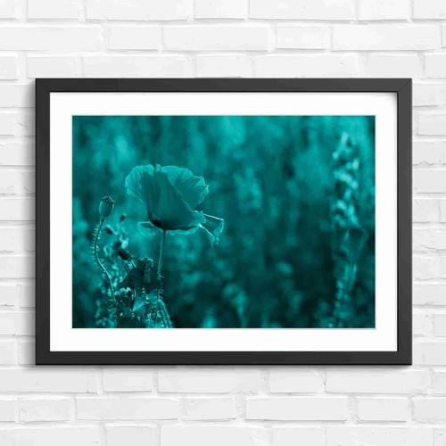 Vibrant red poppy with purple - vibrant,