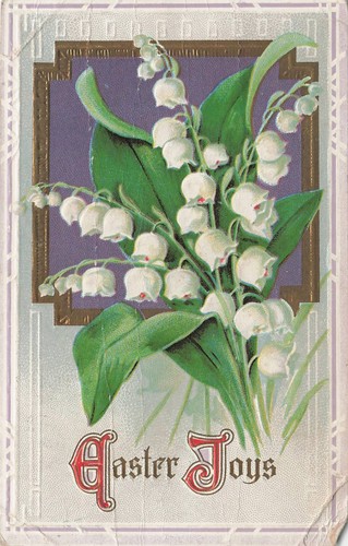 1915 easter joys lily the - of,