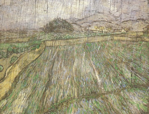 Vincent van gogh - gogh, wheat