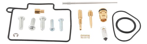 Carburetor repair kit all - carburetor,