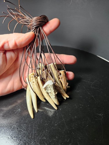 Antler tip necklace - antler,