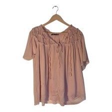 Zara Pink Ruffle Sleeve Blouse