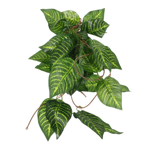 Plastic reptile terrarium - plastic,
