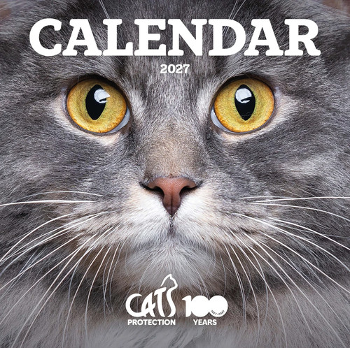 Cats wall calendar 2027 - cats,