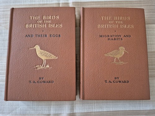 The birds british isles - birds,