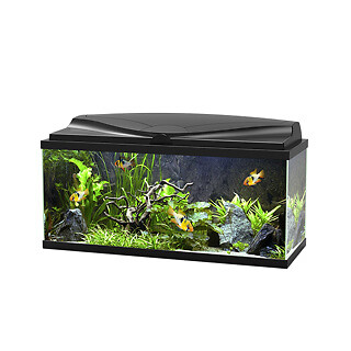 Ciano aquarium led - ciano,