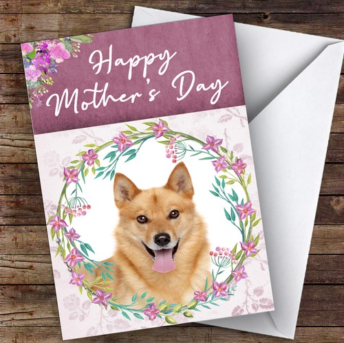 Finnish spitz dog traditional - finnish,
