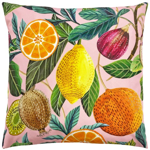 Evans lichfield citrus - lichfield, outdoor