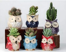 Owl Succulent Ceramic Plant