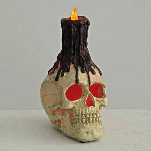 Skull head halloween - skull, decoraton