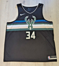 Milwaukee Bucks Giannis