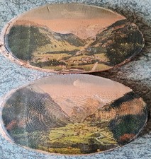 Old Tree Slice Wall Art