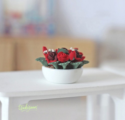 Rose potted plant - plant, 1/12