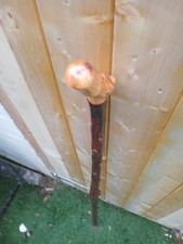 IRISH BLACKTHORN STICK 44