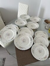 arcopal dinner plates