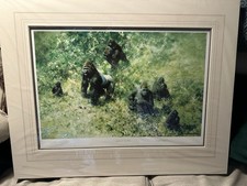 Lowland Gorillas Signed