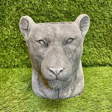 Concrete lion head - lion, planter