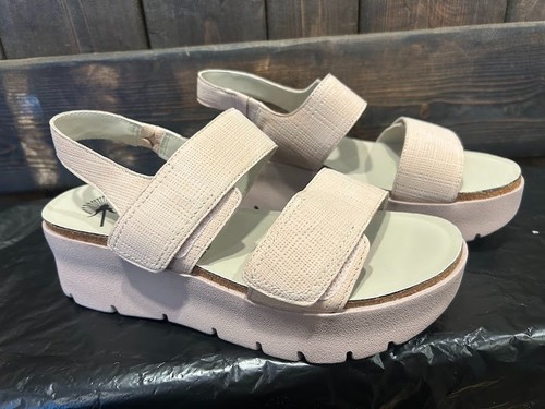 Otbt montane rosette - otbt, platform