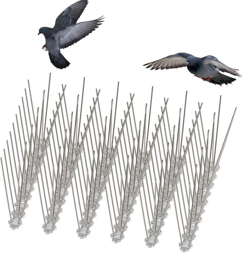 Pigeon bird spikes - 5m,