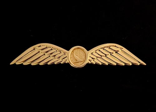 Genuine cathay pacific pilot - genuine,