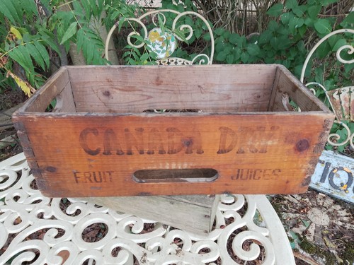 Vintage canada dry fruit - vintage,