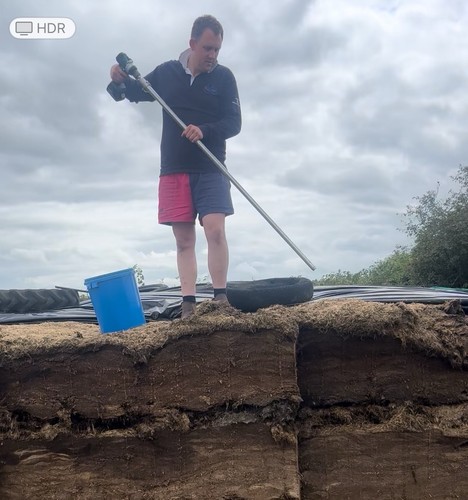 Silage tester - silage,