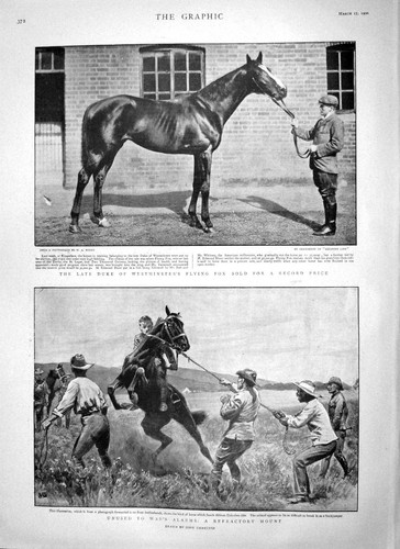 Old antique print - old, duke