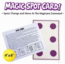  6" x 4" JUMBO SPOT CARD