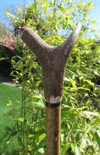 Hand crafted hazel stagshorn - crafted,